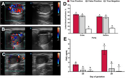Applied Use of Doppler Ultrasonography in Bovine Reproduction